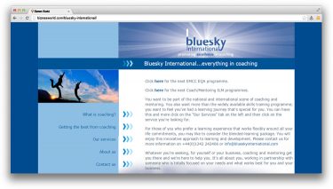Bluesky International
