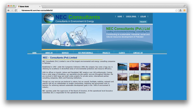 NEC Consulatants