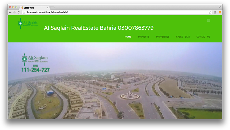 Ali Saqlain Real Estate