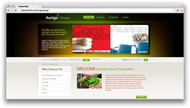 Auriga Group