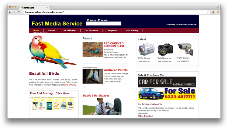 Fast Media Services