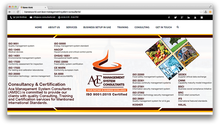 Ace Management System Consultants