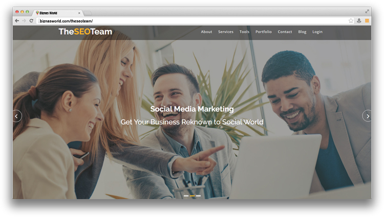 TheSeoTeam