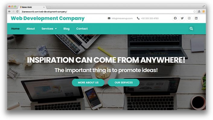 Web Developmant Company