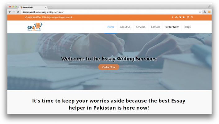 Essay Writing Services