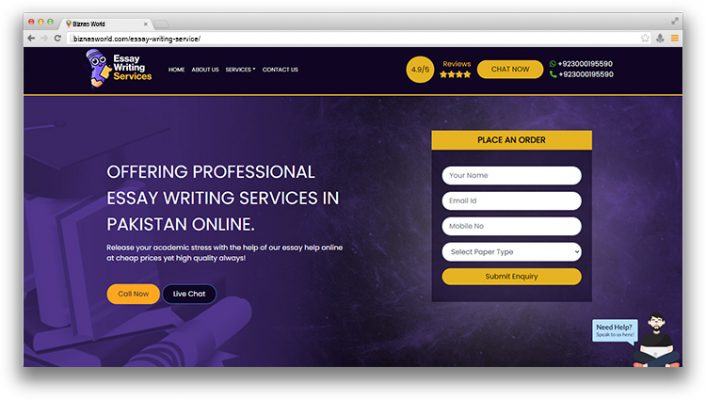 Essay Writing Service