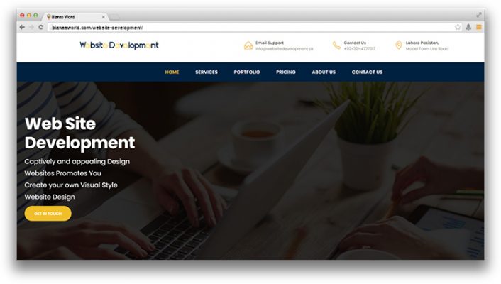Website development