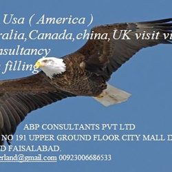 visa services