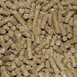 Complete Cattle Feed