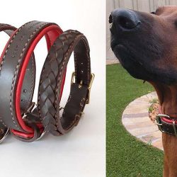 Leather Dog Collars and Leashes