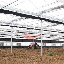 Agriculture Plastic Large Multi Span Greenhouse