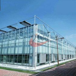 Commercial Agricultural Glass Greenhouse