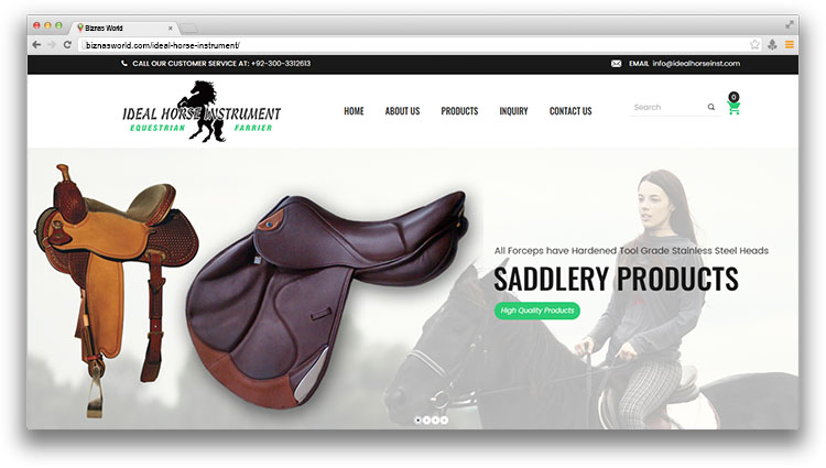 IDEAL HORSE INSTRUMENTS