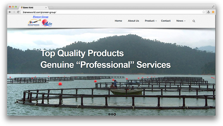 Pioneer Group