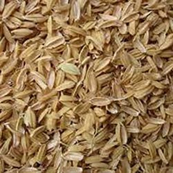 Rice Husk