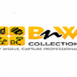 Bnwcollections