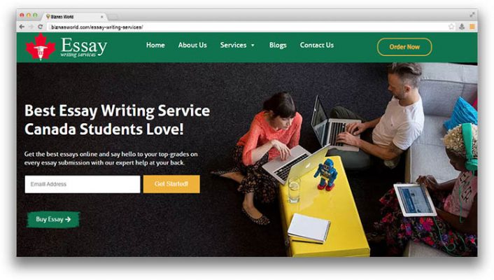 Essay writing services