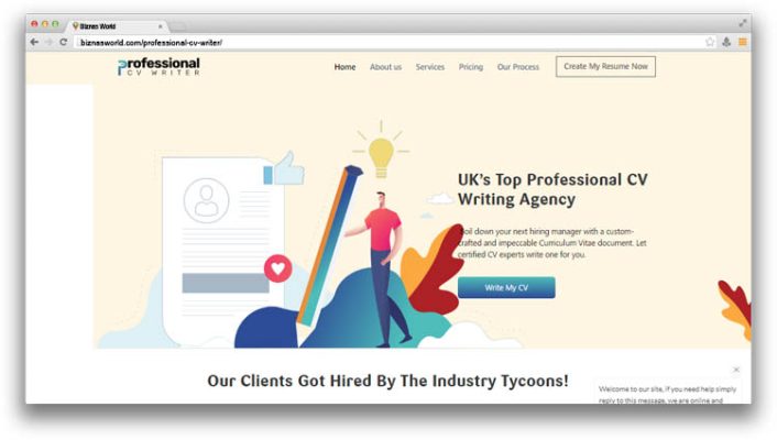 Professional CV Writer